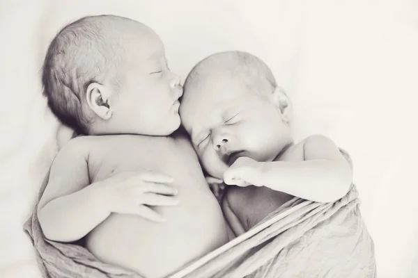 A sweet twins — Stock Photo, Image