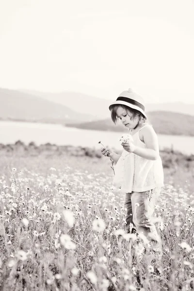 Meisje in daisy veld — Stockfoto