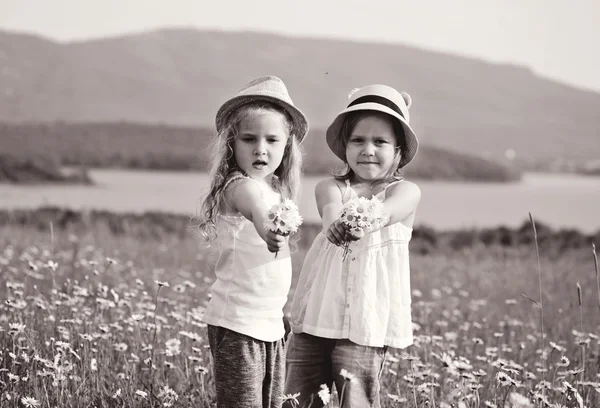 Vrienden met madeliefjes — Stockfoto