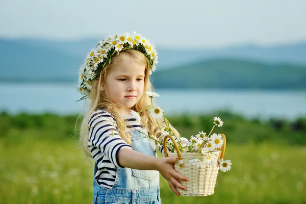 Flicka med prästkragar — Stockfoto