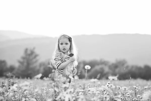Menina criança no campo da margarida — Fotografia de Stock
