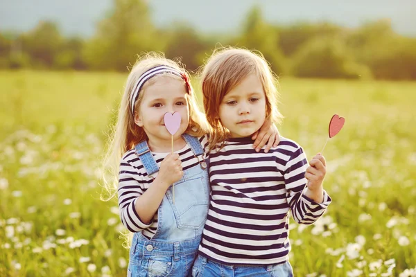 Friends in field — Stock Photo, Image