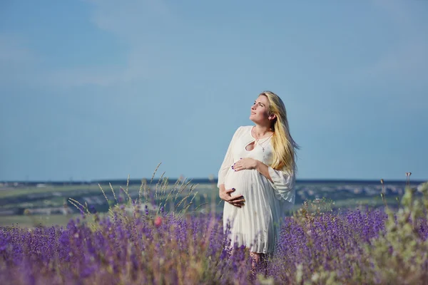 Mulher grávida em um campo de lavanda — Fotografia de Stock