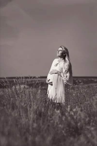 Gravid kvinna i ett lavendel fält — Stockfoto