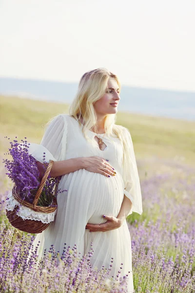 Pregnance — Stock Photo, Image