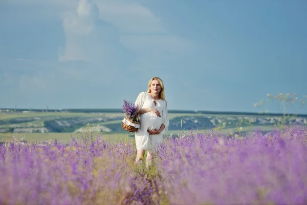 Donna incinta in un campo di lavanda — Foto Stock