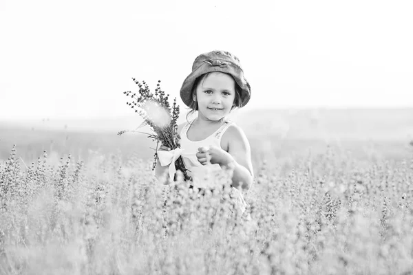 Ragazza in campo lavanda — Foto Stock