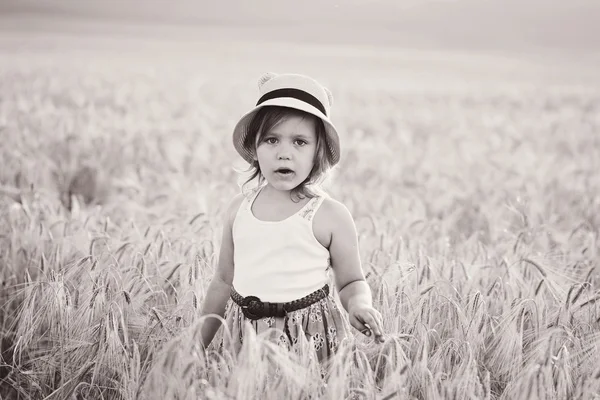 Bambina nel campo di grano — Foto Stock