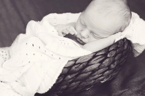 Newborn  sleeping in basket — Stock Photo, Image