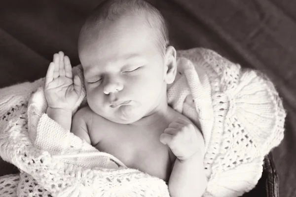 Sweet newborn baby — Stock Photo, Image