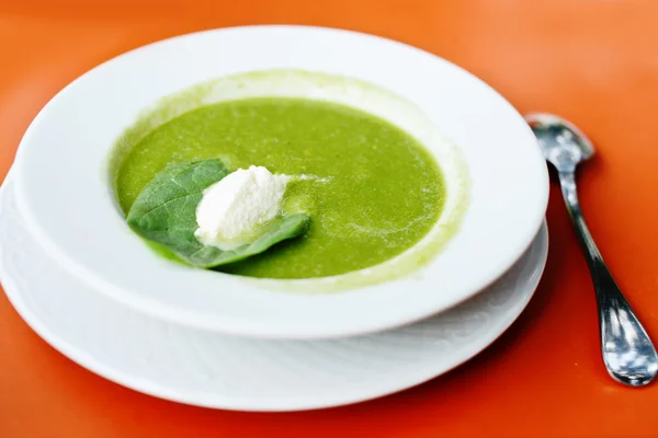 Зеленый суп — стоковое фото