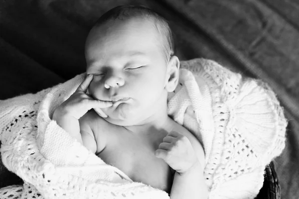 A sweet newborn — Stock Photo, Image