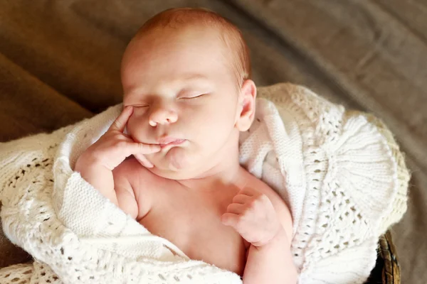 Zoete pasgeboren — Stockfoto