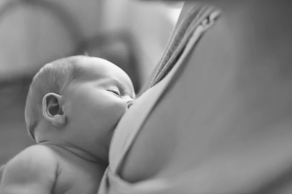 Feeding of newborn — Stock Photo, Image