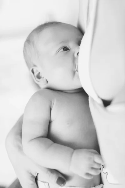 Newborn is eating — Stock Photo, Image