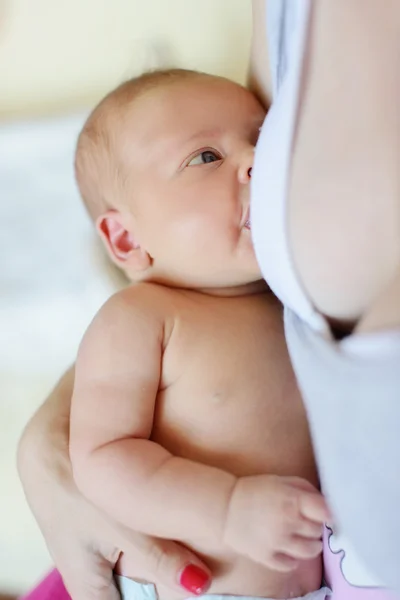 Is het eten van pasgeboren — Stockfoto