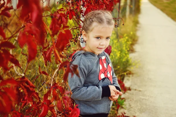 Bambina in autunno — Foto Stock