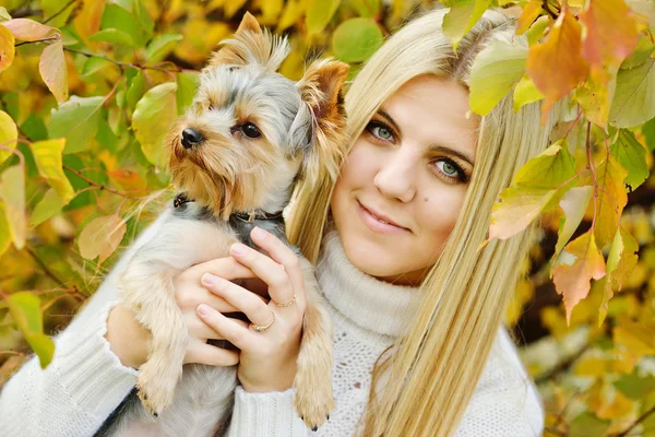 Dospívající dívka s malým psem — Stock fotografie