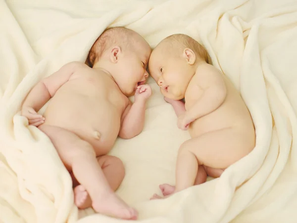 Два сладких близнеца — стоковое фото
