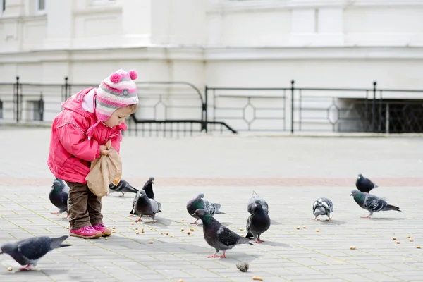 Menina criança alimentando pombas — Fotografia de Stock