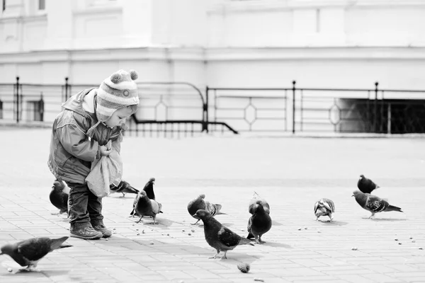 鳩に餌をやる幼児少女 — ストック写真