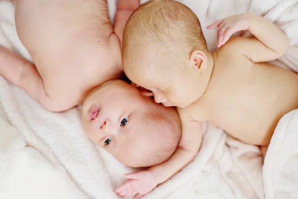 Two sweet twins — Stock Photo, Image