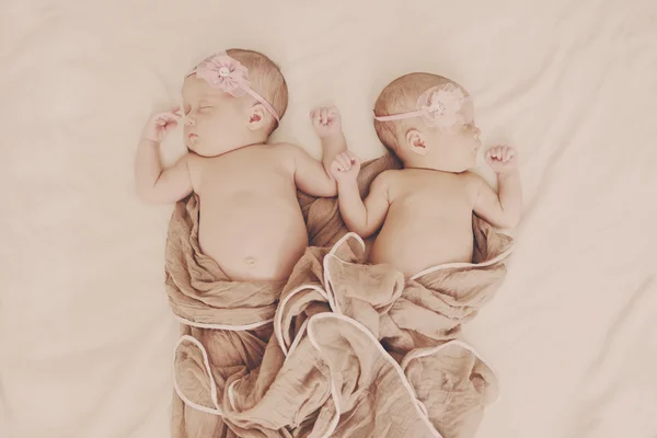 Wspaniałe bliźniaki noworodka — Zdjęcie stockowe