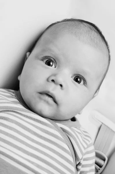 Bir bebek portre — Stok fotoğraf