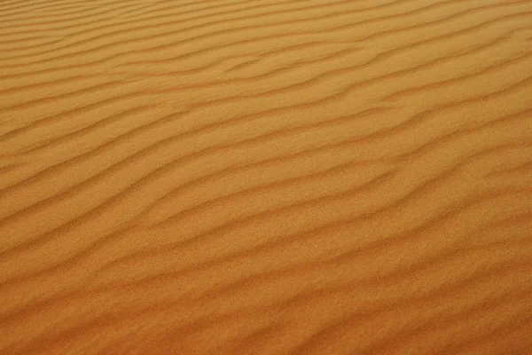 A sivatagi háttér — Stock Fotó