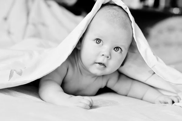Um bebê doce — Fotografia de Stock