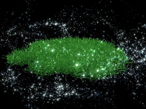 Mysterious grass in the night sky — Stock Photo, Image
