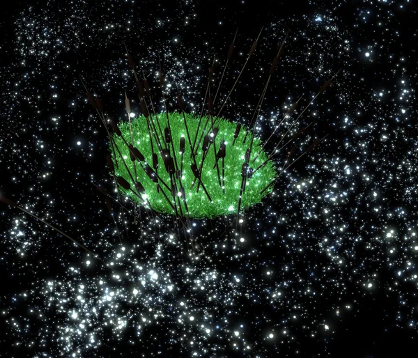 กุหลาบบนเกาะสีเขียว — ภาพถ่ายสต็อก