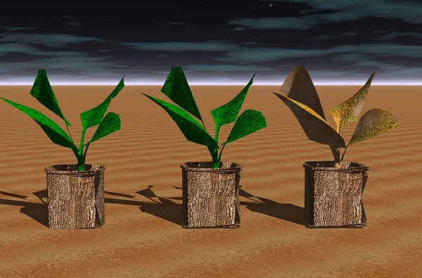 3D illustratie: "drie raadselachtige planten" — Stockfoto
