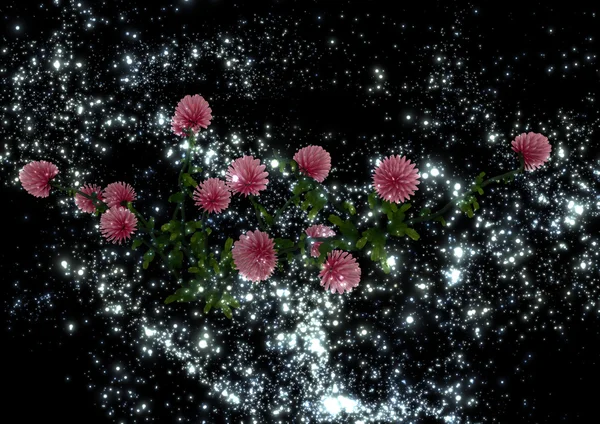 Mystisk växt av släkten Trifolium blommor — Stockfoto