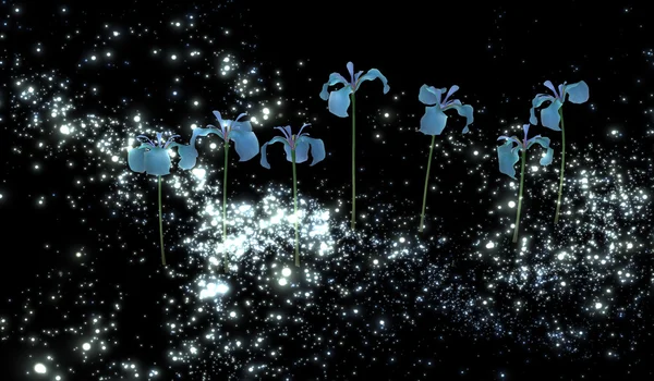 Die geheimnisvollen blauen Iris am Nachthimmel — Stockfoto