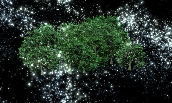 Mystérieux arbres dans le ciel nocturne — Photo