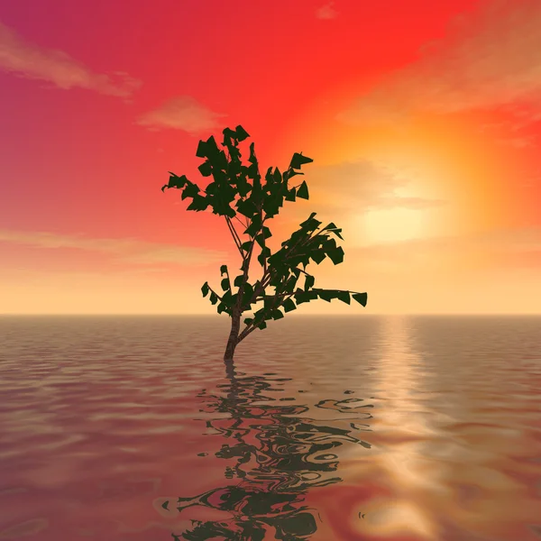 El misterioso árbol en el océano — Foto de Stock