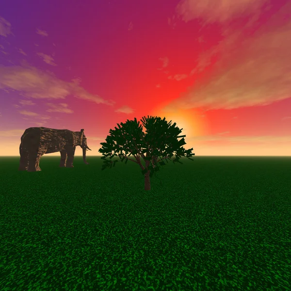 Um elefante misterioso e uma árvore — Fotografia de Stock
