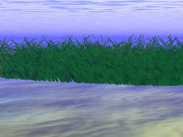 Illustration Mysterious Algae Thickets Water — Stock Photo, Image