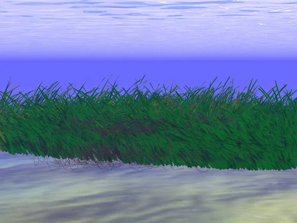 Ilustração Misterioso Fio Enferrujado Moitas Subaquáticas — Fotografia de Stock