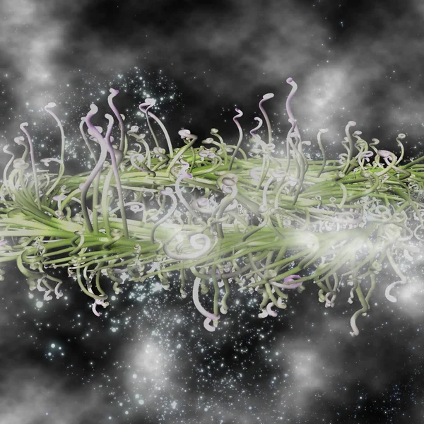 Una misteriosa pianta tra le nuvole — Foto Stock