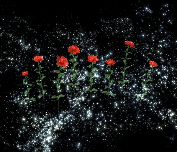 Gece gökyüzünde gizemli gül