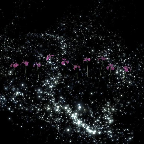 Mysteriöse Schwertlilien am Nachthimmel — Stockfoto