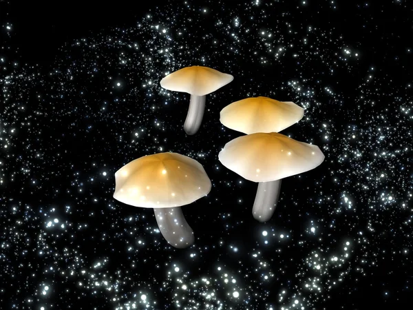 Таинственные грибы в ночном небе — стоковое фото