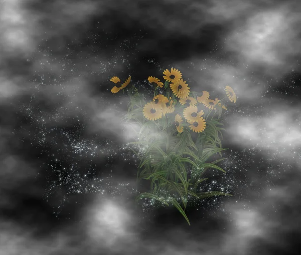 Mysterious night sky sunflowers — Stock Photo, Image