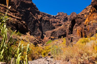tenerife - Kanarya, ünlü Kanyon masca