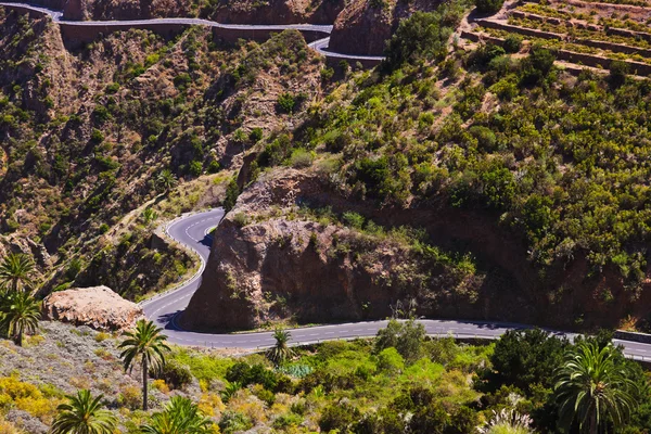 Road in La Gomera island - Canary — Stock Photo, Image