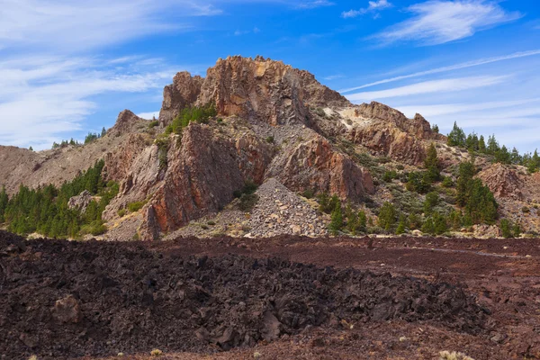 Vulkanen teide på Teneriffa - kanariefågel — Stockfoto