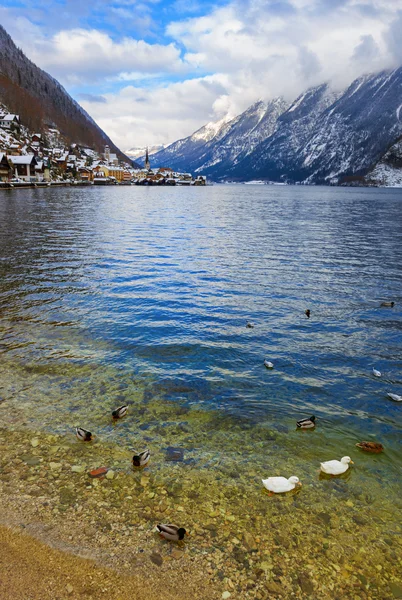 Byn hallstatt på sjön - salzburg Österrike — Stockfoto