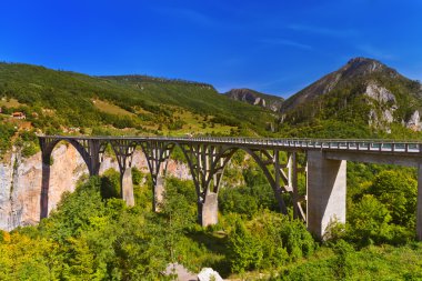 Köprü Durdevica nehir Tara Kanyon - Karadağ